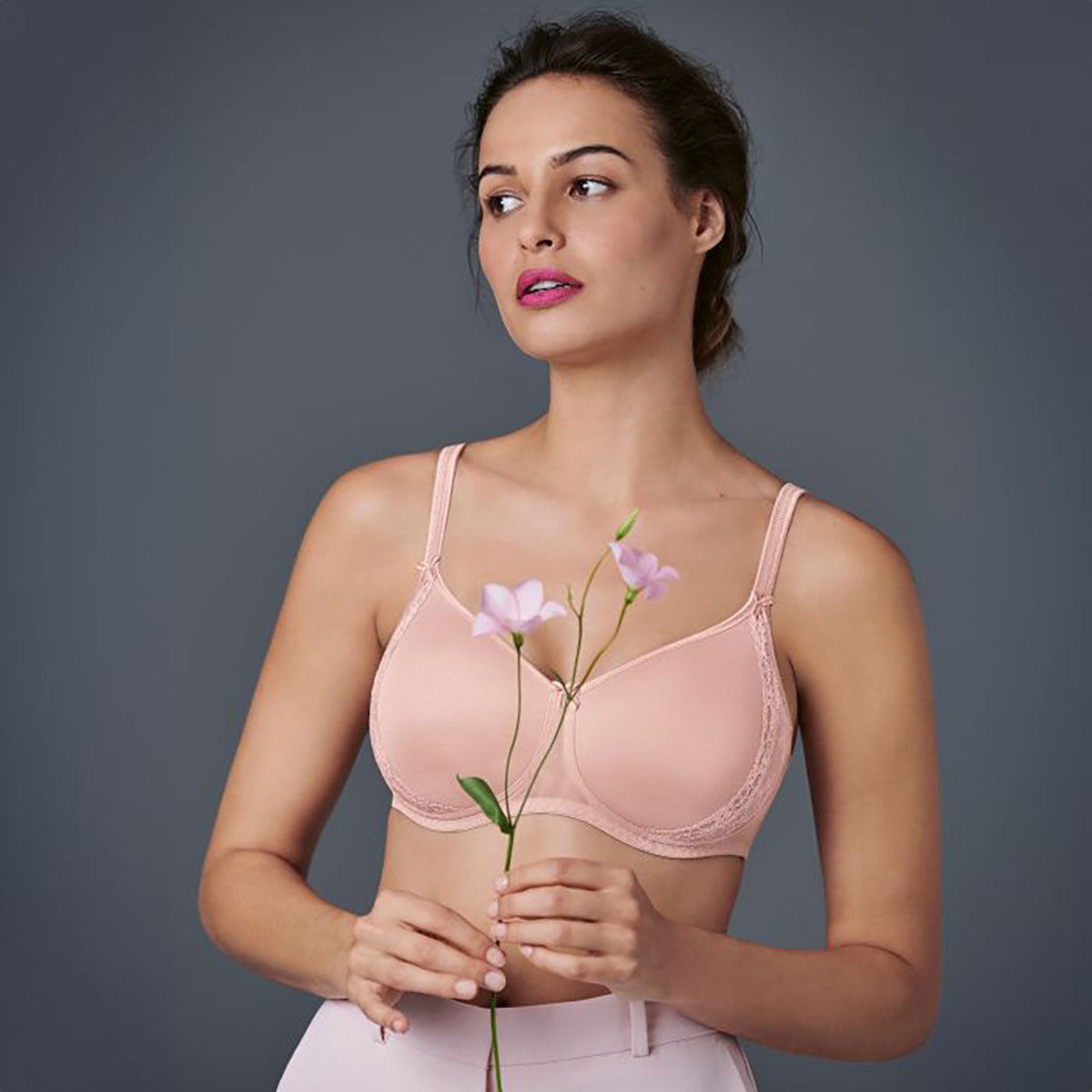 Rosa Faia Lace Rose - Rosewood - 5618-596