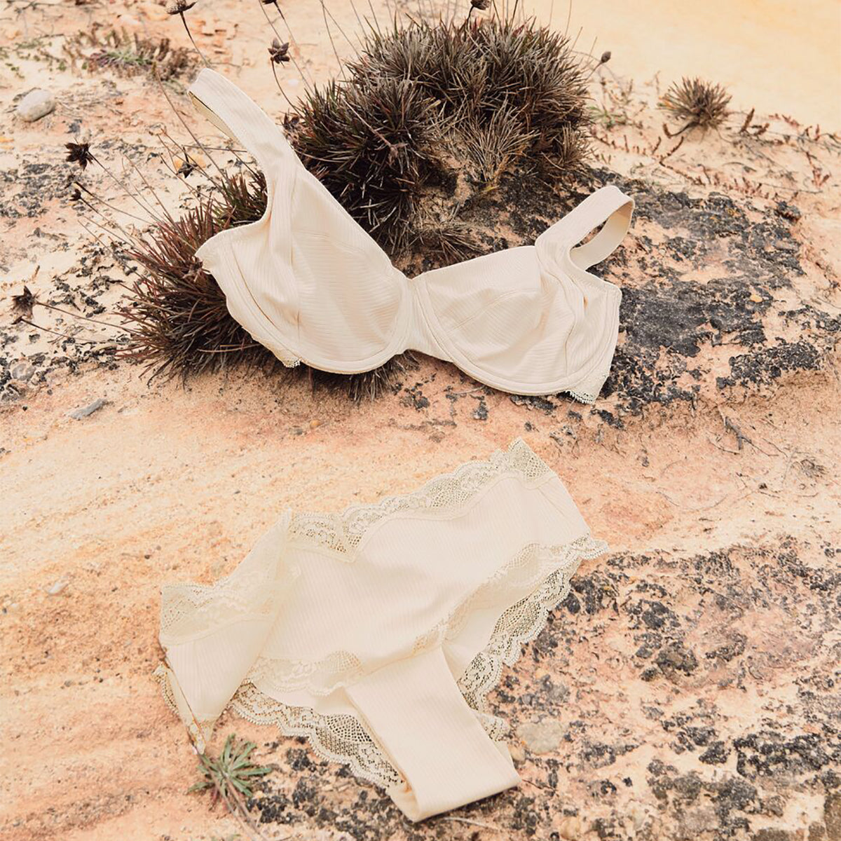 Triumph Natural Spotlight - Fresh powder - 10214465-00CS