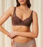 Triumph Amourette 300 WHP - Cocoa Sugar - 10166798-1987